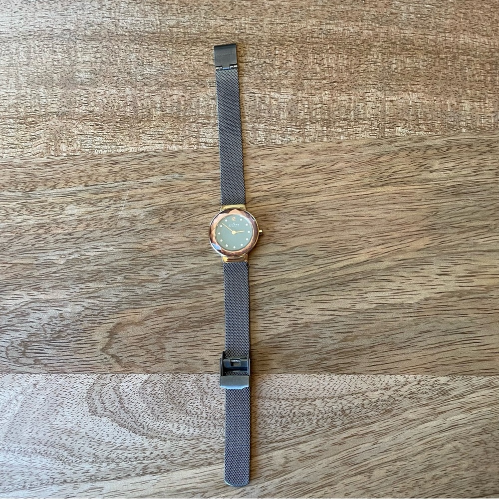 Skagen Watch